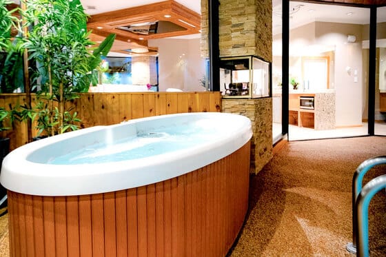 Sybaris Pool Suites Mequon