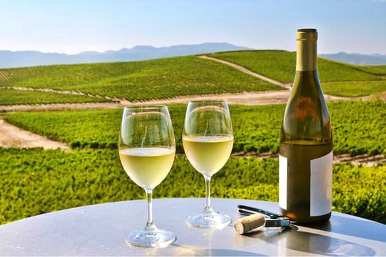 Hyatt Regency Sonoma Wine Country