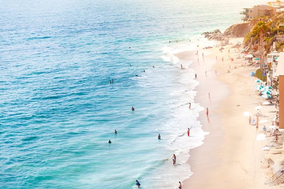 Surf & Sand Resort