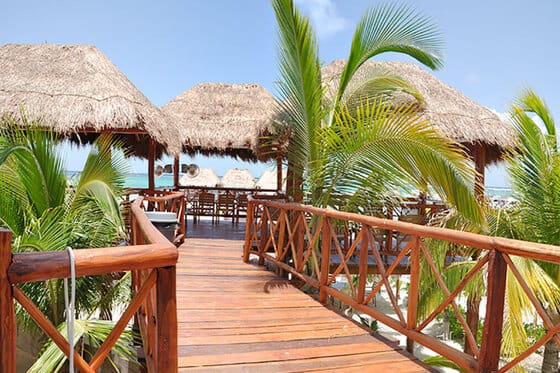 Dolphin Discovery Playa del Carmen