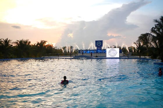 Dolphin Discovery Playa del Carmen