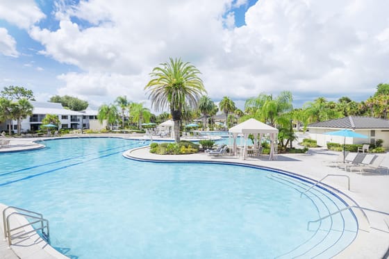 Saddlebrook Resort