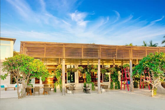 W Punta de Mita