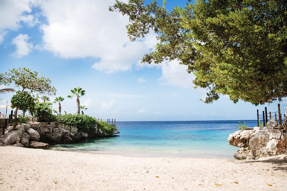 Dreams Curacao Resort Spa and Casino - All Inclusive