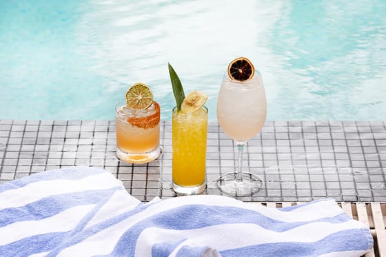 Melia Orlando Celebration 