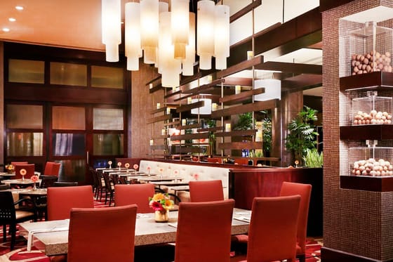 Hilton Americas-Houston
