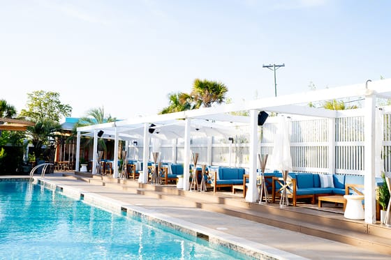 The Wonderer Charleston