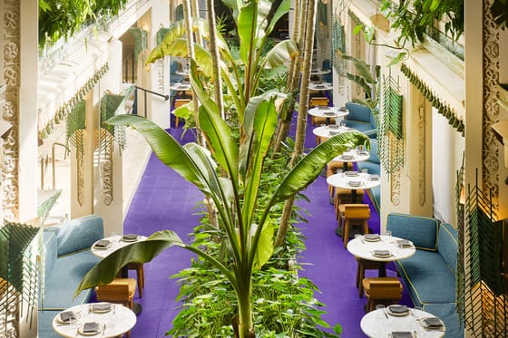 Mayfair House Hotel and Garden