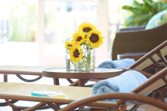 Atlanta Evergreen Lakeside Resort