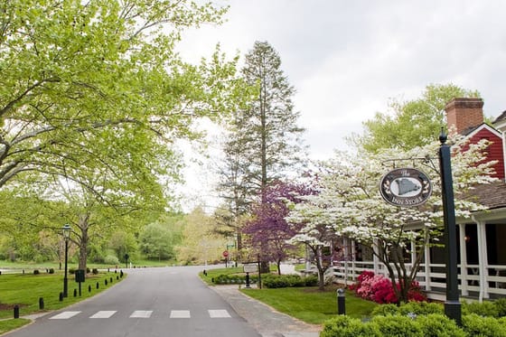 Boar's Head Resort
