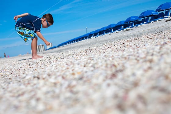 Sheraton Sand Key Resort