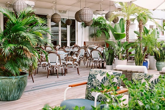 Nautilus Sonesta Miami Beach