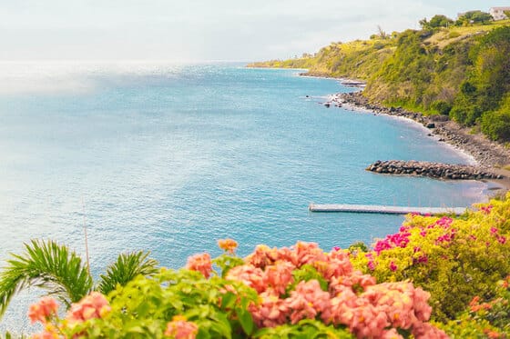Sunset Reef St. Kitts