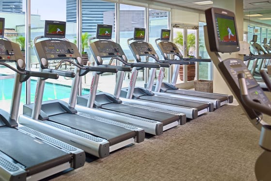The Royal Sonesta Houston Galleria