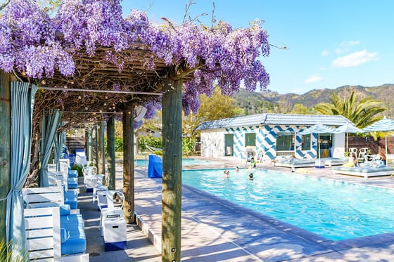 The Calistoga Motor Lodge & Spa
