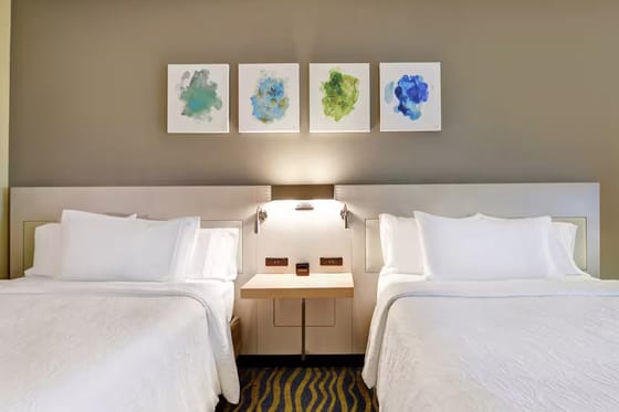 Hilton Garden Inn Lake Buena Vista/Orlando