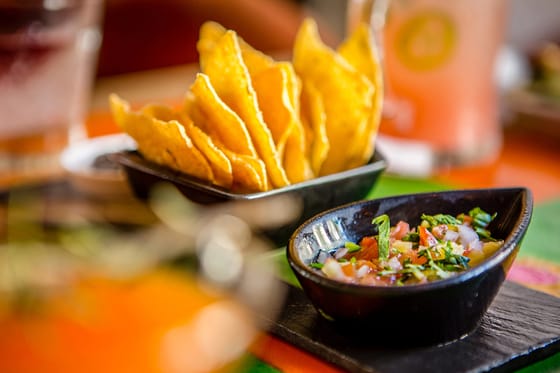 Hyatt Zilara Riviera Maya, an All-Inclusive, Adults Only Resort