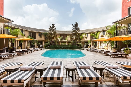 Hotel ZaZa Museum District