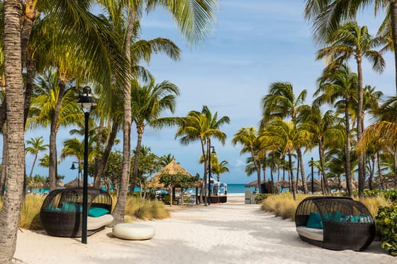 Hilton Aruba Caribbean Resort & Casino