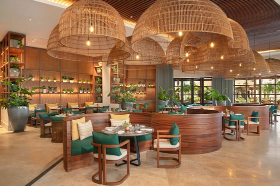 Secrets Playa Blanca Costa Mujeres, an All-Inclusive, Adults Only Resort