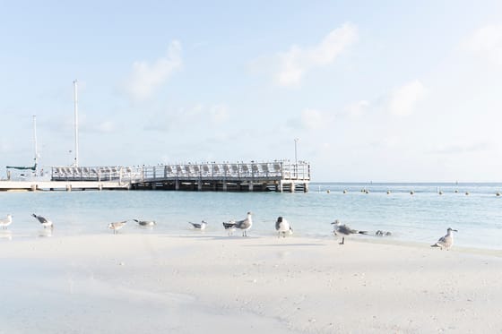 Cancun Bay Resort - All Inclusive