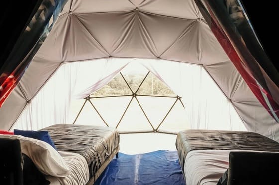DayDreamer Domes
