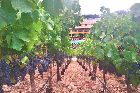The Meritage Resort & Spa