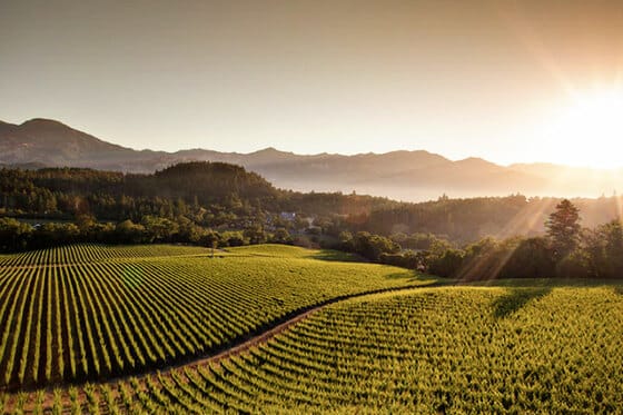 The Meritage Resort & Spa