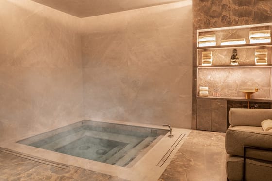 Intuisse Spa at Maison Hudson