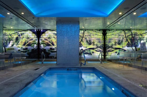 Naturopathica Spa & Healing Center The Chatwal