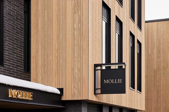 Naturopathica Spa & Healing Center at MOLLIE Aspen