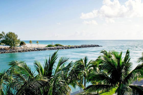 The Ritz-Carlton Bal Harbour, Miami