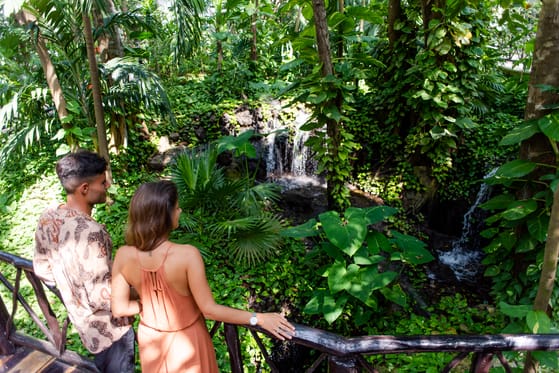 The Reef Playacar Beach Resort & Spa