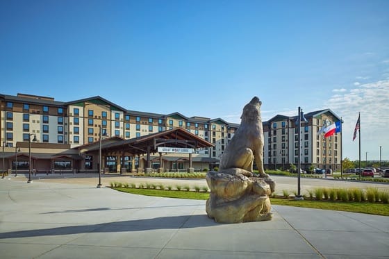 Great Wolf Lodge Webster