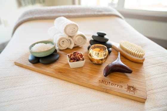 Skyterra Wellness Retreat