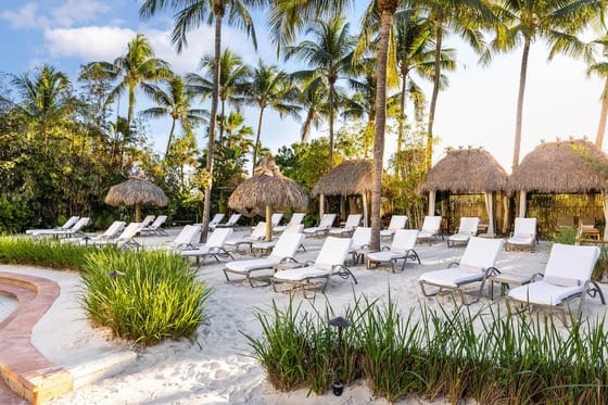 The Palms Hotel & Spa