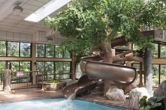 The Park Vista - a DoubleTree by Hilton Hotel - Gatlinburg