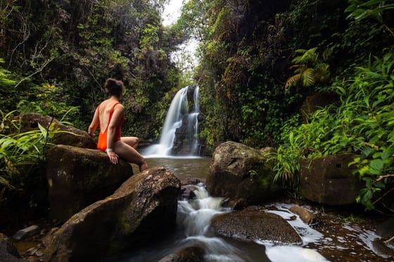 Grand Naniloa Hotel Hilo - a DoubleTree by Hilton