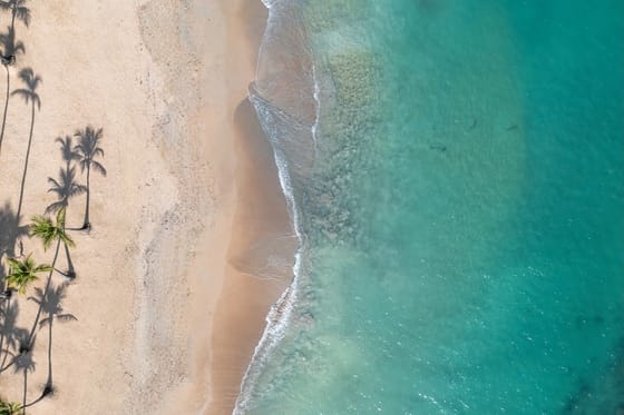 Wyndham Alltra Punta Cana, An All-Inclusive Resort