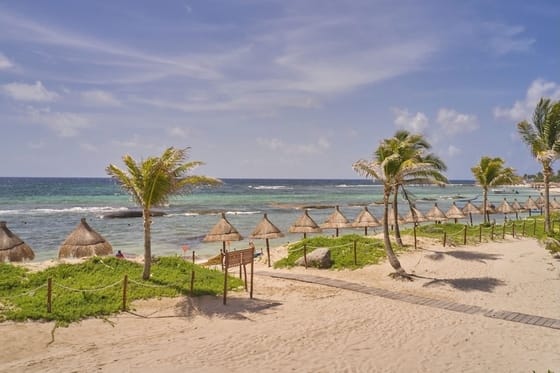 Bahia Principe Grand Tequila - All-Inclusive, Adults-Only Resort