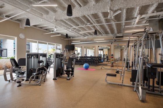 Avatar Hotel Santa Clara, Tapestry Collection by Hilton