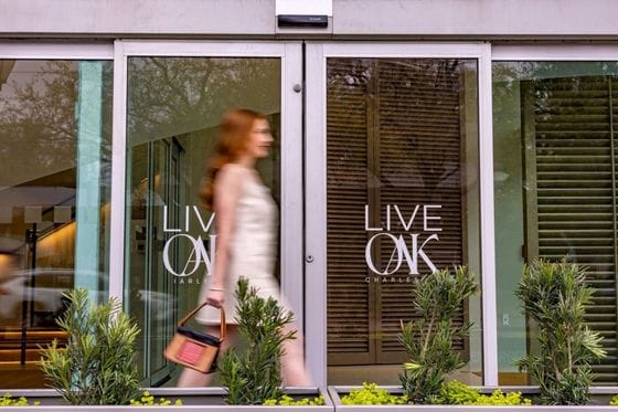Live Oak Charleston Historic District