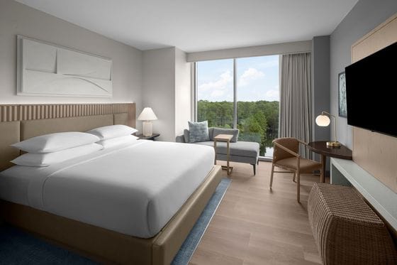 Hilton Jacksonville at Mayo Clinic