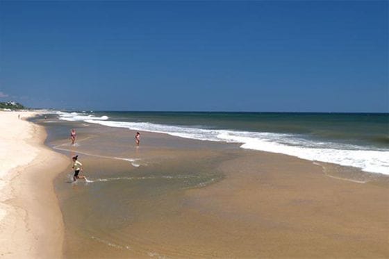 Wavecrest Resort