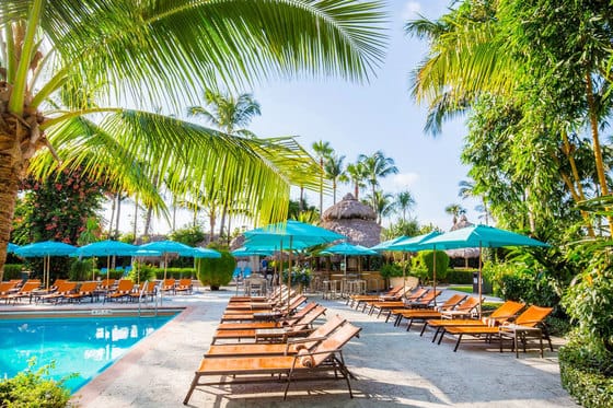 The Palms Hotel & Spa