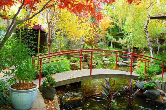 Dinah's Garden Hotel