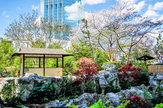 Grand Hyatt Atlanta in Buckhead 
