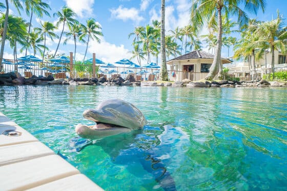 The Kahala Hotel & Resort