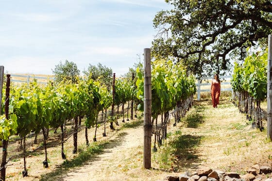 The Meritage Resort & Spa
