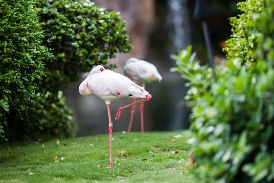 Hyatt Regency Maui Resort And Spa